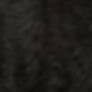 Meet your Posher, Trevor